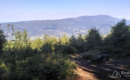IMG_20160908_145335_HDR