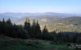 IMG_20160908_173420_HDR
