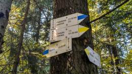 IMG_20161023_123113_HDR