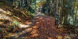 IMG_20161023_123945_HDR