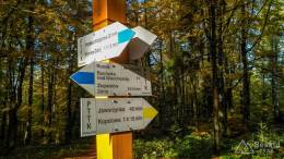 IMG_20161023_145602_HDR