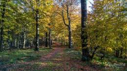 IMG_20161023_155549_HDR