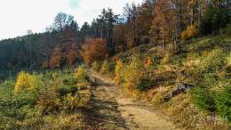 IMG_20161023_160130_HDR