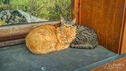 IMG_20161023_161403_HDR