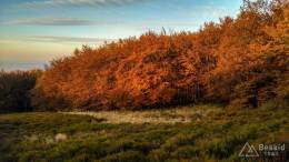 IMG_20161023_165956_HDR