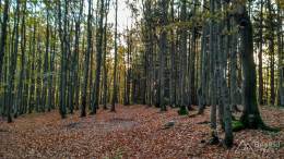 IMG_20161023_170847_HDR