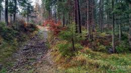 IMG_20161107_124753_HDR kopia