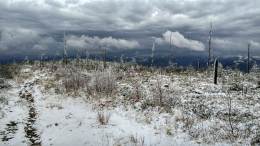 IMG_20161107_143733_HDR kopia