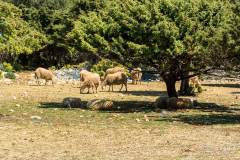 dzien_3-19