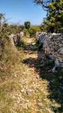 dzien_3-20