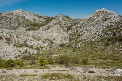 dzien_4-21