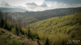 IMG_20170507_143907 kopia