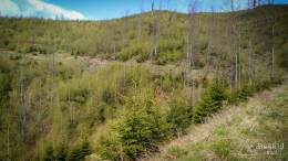 IMG_20170507_143918 kopia