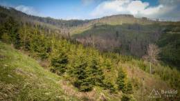 IMG_20170507_144954 kopia