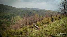 IMG_20170507_145005 kopia