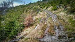 IMG_20170507_155325_HDR kopia