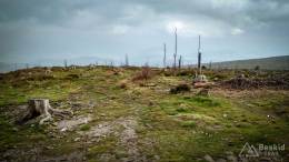 IMG_20170507_161511_HDR kopia