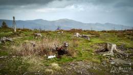 IMG_20170507_161519_HDR kopia