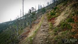 IMG_20170507_162311_HDR kopia