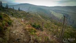 IMG_20170507_162316_HDR kopia