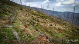 IMG_20170507_164216_HDR kopia