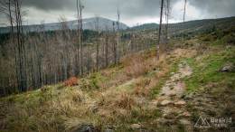 IMG_20170507_164221_HDR kopia