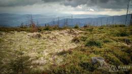 IMG_20170507_172035_HDR kopia