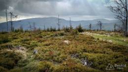 IMG_20170507_172049_HDR kopia