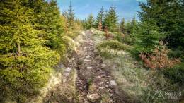 IMG_20170507_172440_HDR kopia