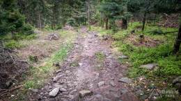 IMG_20170507_173449_HDR kopia