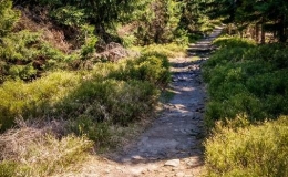 IMG_20170511_135132_HDR