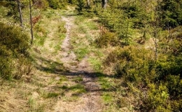 IMG_20170511_140717_HDR