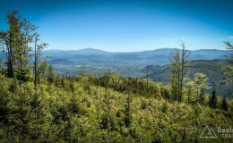 IMG_20170528_114750_HDR