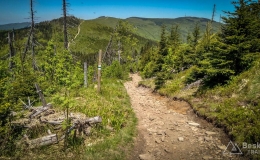 IMG_20170528_130116_HDR