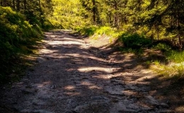 IMG_20170528_152037_HDR