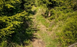 IMG_20170528_162002_HDR