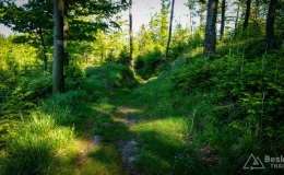 IMG_20170528_162544_HDR