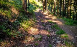 IMG_20170528_162802_HDR
