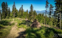 IMG_20170528_162909_HDR
