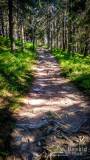 IMG_20170601_165220_HDR
