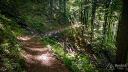 IMG_20170601_170540_HDR