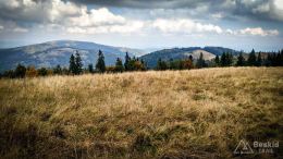 IMG_20170930_124324_HDR