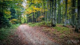 IMG_20170930_125015_HDR