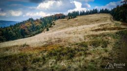 IMG_20170930_125142_HDR