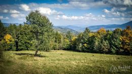 IMG_20170930_131218_HDR