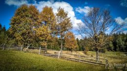 IMG_20170930_141950_HDR