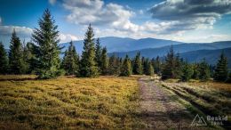 IMG_20170930_152119_HDR