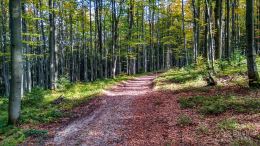 IMG_20170930_153657_HDR