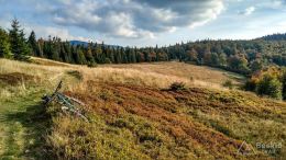 IMG_20170930_162936_HDR