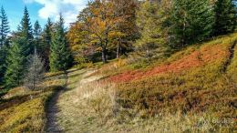 IMG_20170930_162956_HDR